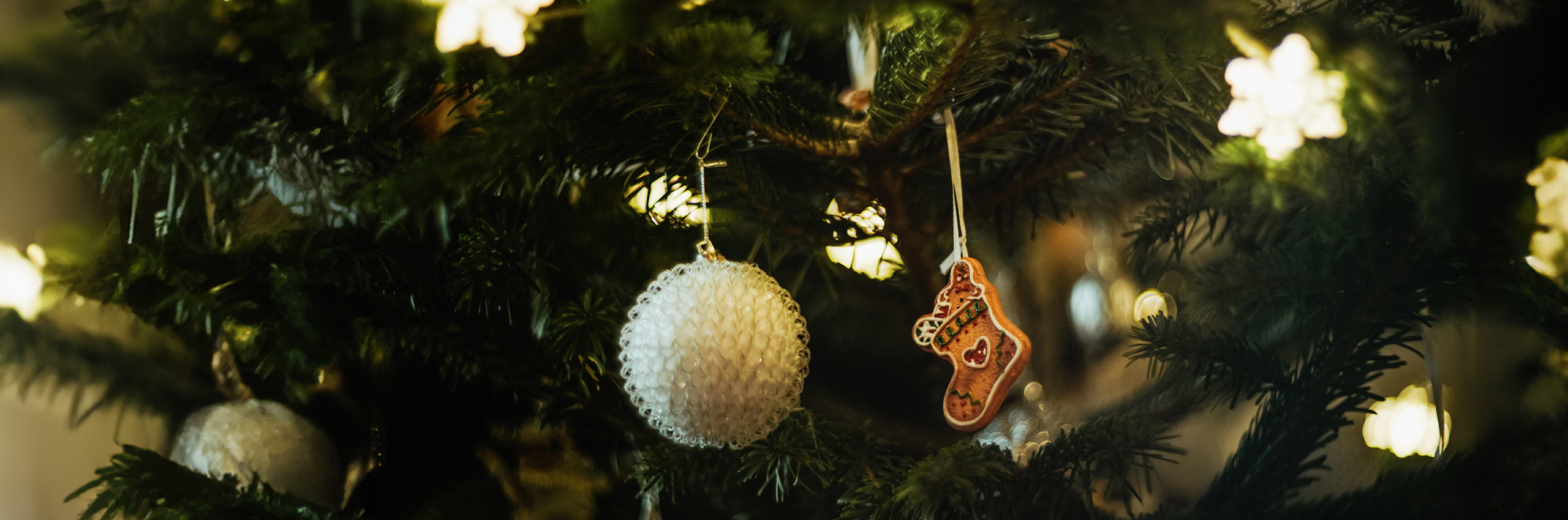 Spreewaldkeks_Header Weihnachten